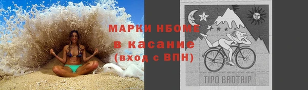 ГАЛЛЮЦИНОГЕННЫЕ ГРИБЫ Алексин