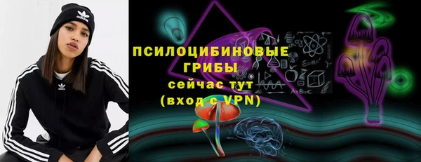 ГАЛЛЮЦИНОГЕННЫЕ ГРИБЫ Алексин