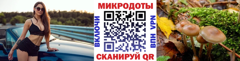 Галлюциногенные грибы Cubensis  купить наркотик  Анива 